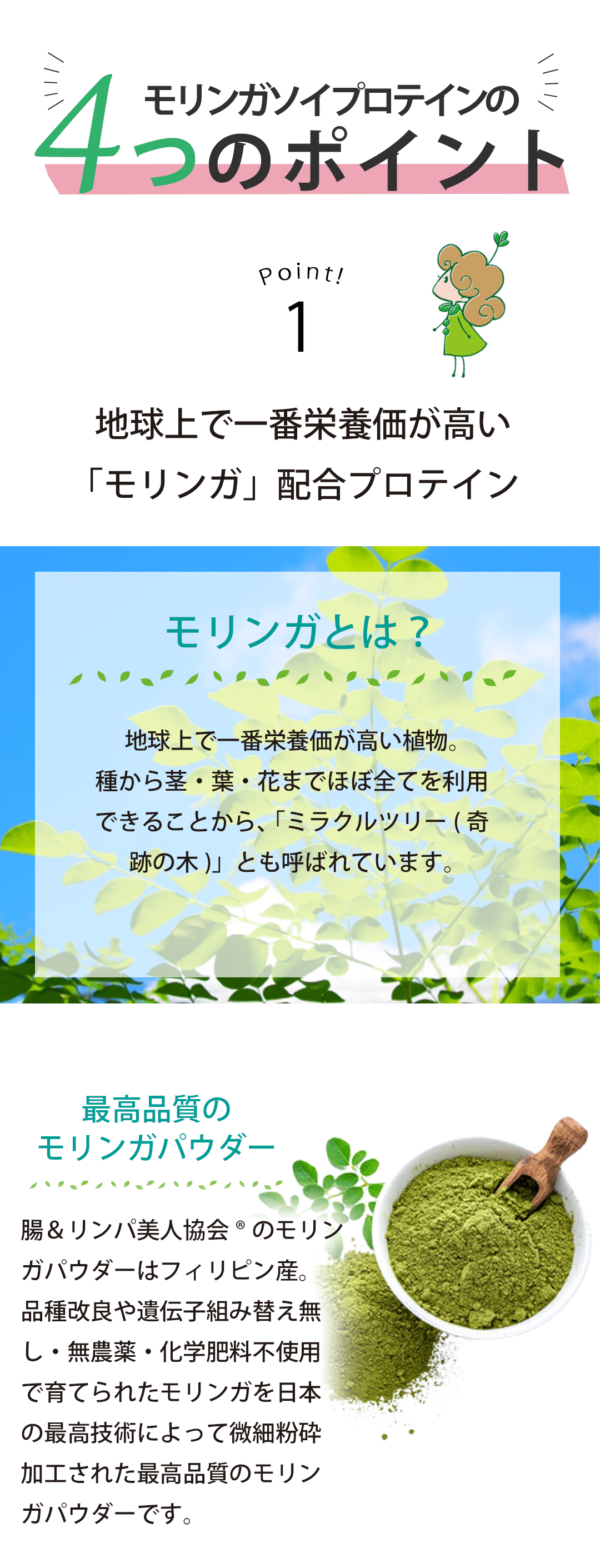 モリンガソイプロテイン４つのポイントその1