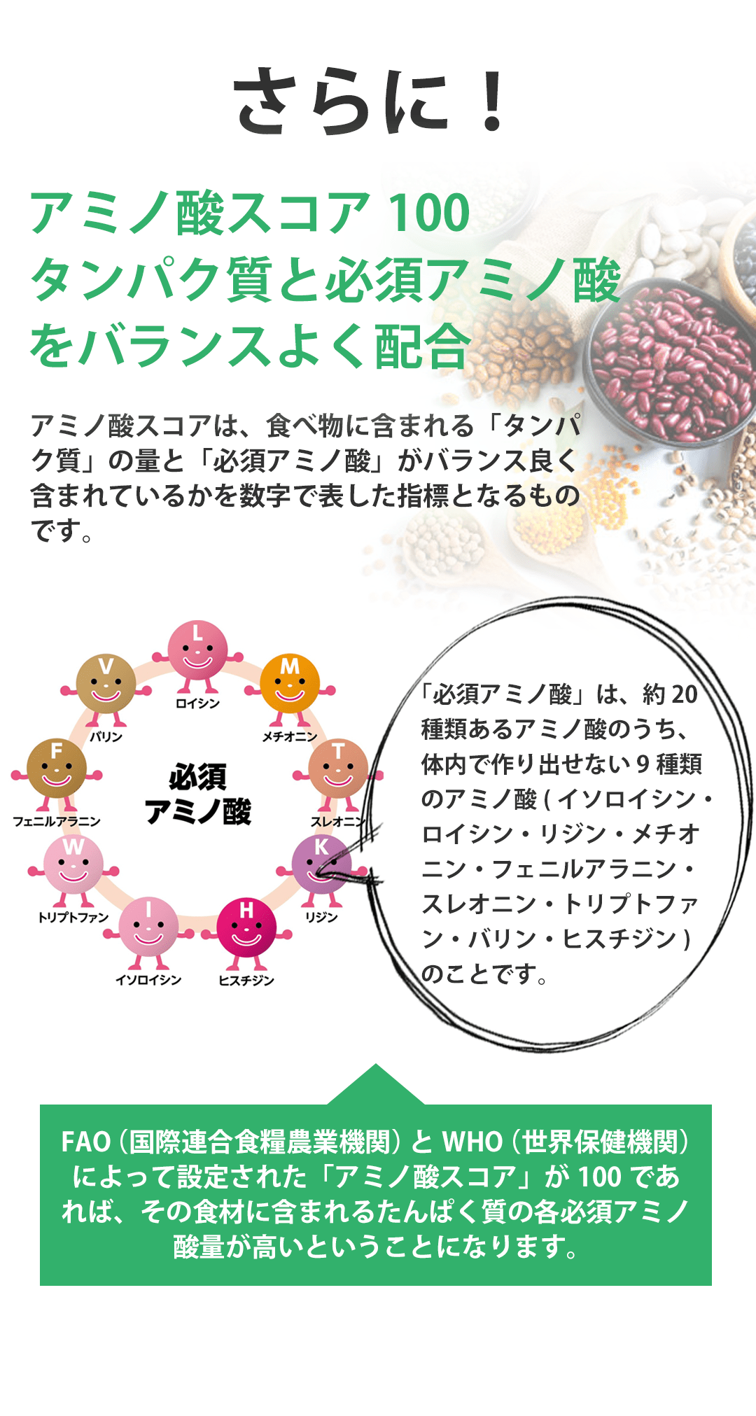 アミノ酸スコア100のプロテイン