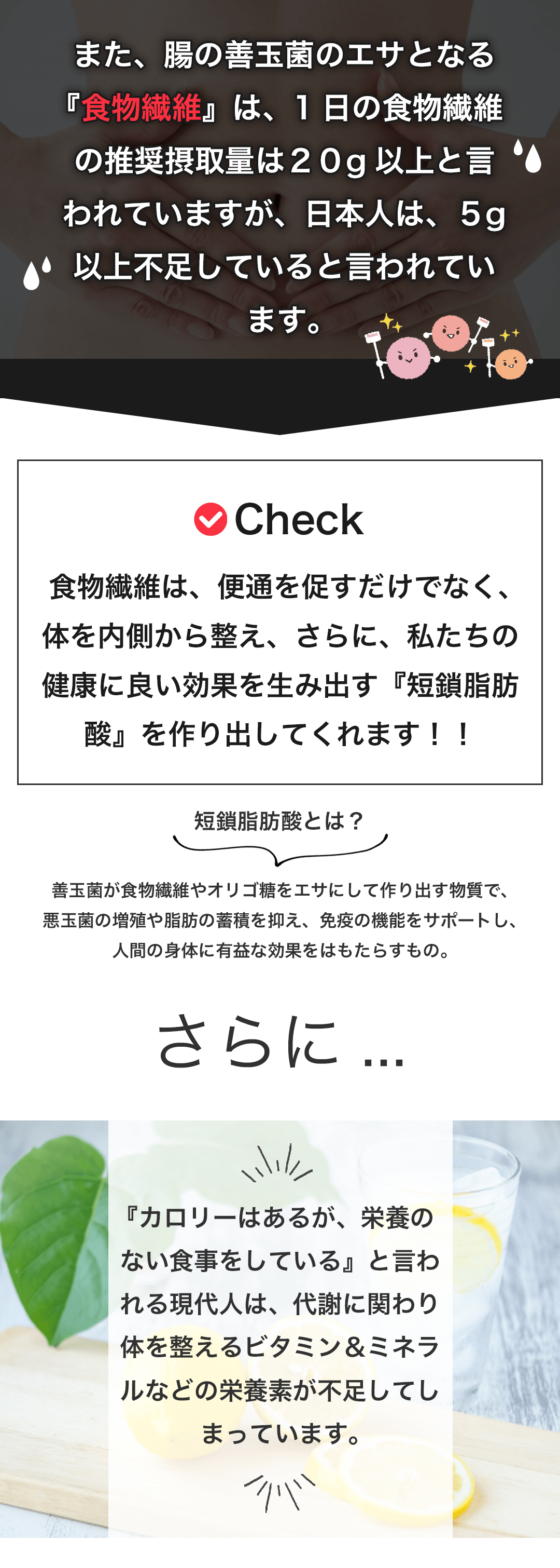 食物繊維の必要性について